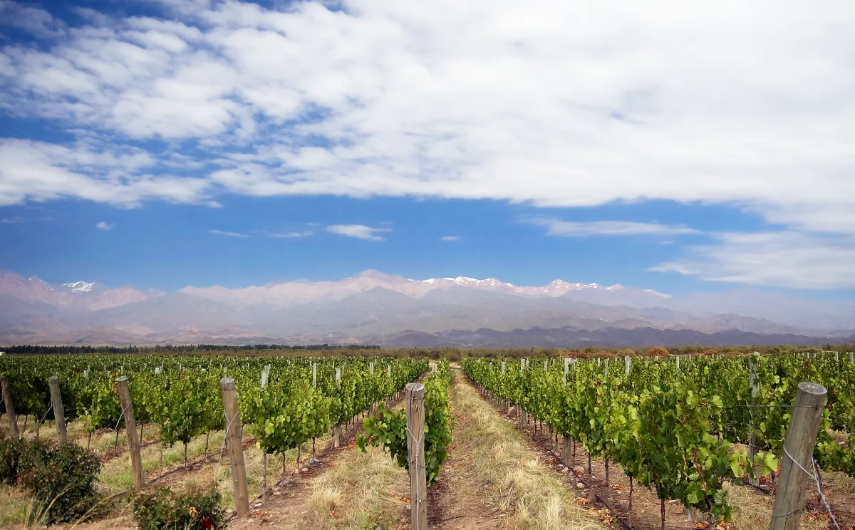 Mendoza